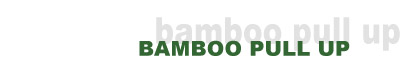 bamboo pull up display stand, bamboo roll up display stand